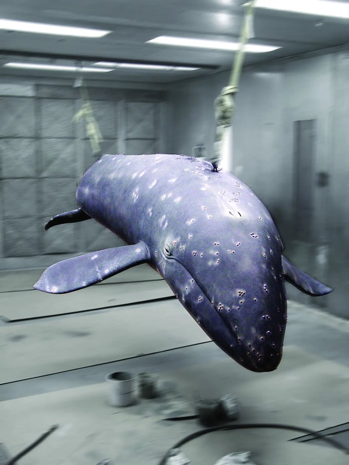 SR-palos-verdes-interpretive-center-whale-fabrication